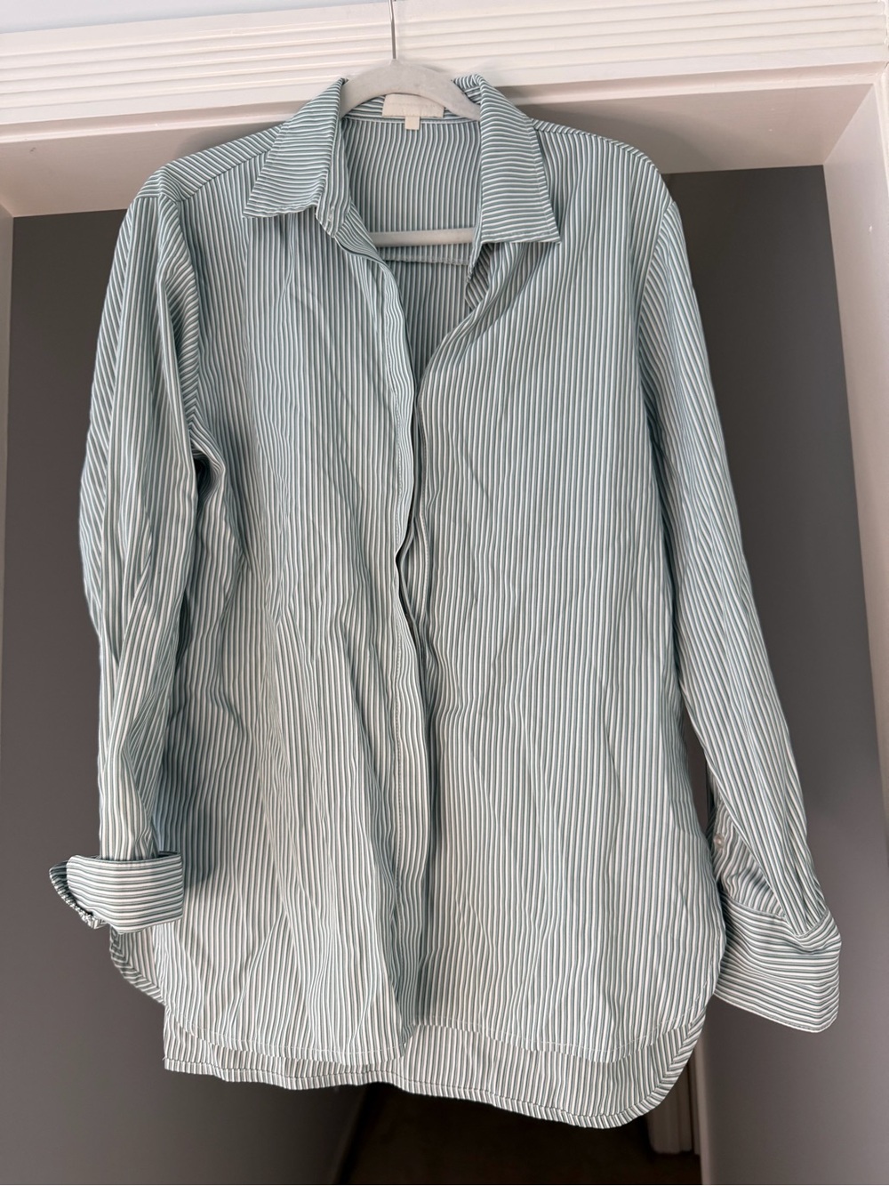 Light Green & White Stripe Button-Down Shirt - Women's